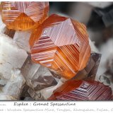 Spessartine
fov 9.0 mm
(Autor: ploum)