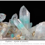 Ajoite in Quartz
fov 36 mm
(Autor: ploum)