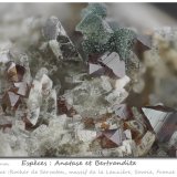 Anatase and Bertrandite
fov 7.2 mm
(Autor: ploum)