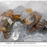 Bariopharmacosiderite
fov 1.7 mm
(Autor: ploum)