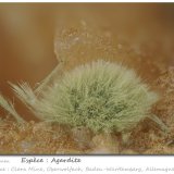 'Agardite'
fov 3.2 mm
(Autor: ploum)