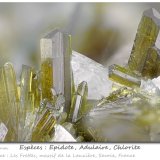 Epidote with Orthoclase (variety adularia) and Chlorite
fov 7.2 mm
(Autor: ploum)