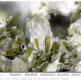 Epidote with Quartz, Orthoclase (variety adularia) and Chlorite
fov 15 mm
(Autor: ploum)