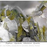 Epidote with Orthoclase (variety adularia) and Quartz
fov 9 mm
(Autor: ploum)