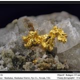 Gold
fov 10 mm
(Autor: ploum)