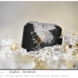 Brookite
fov 3.4 mm
(Autor: ploum)