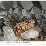 Rutile and Quartz
fov 9.0 mm
(Autor: ploum)