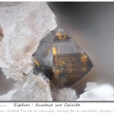 Anatase on Calcite
fov 4.2 mm
(Autor: ploum)