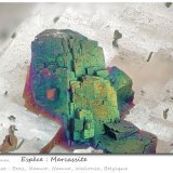 Marcasite and Dolomite
fov 4.5 mm
(Autor: ploum)