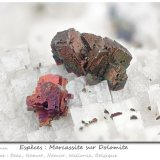 Marcasite and Dolomite
fov 7.5 mm
(Autor: ploum)