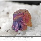 Marcasite and Dolomite
fov 6.8 mm
(Autor: ploum)