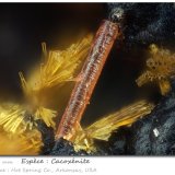 Cacoxenite
fov 0.77 mm
(Autor: ploum)