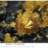 Cacoxenite
fov 1.7 mm
(Autor: ploum)
