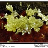 Mimetite
fov 3 mm
(Autor: ploum)