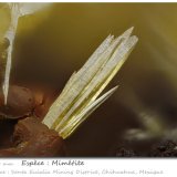 Mimetite
fov 1.5 mm
(Autor: ploum)