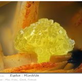 Mimetite
fov 3.4 mm
(Autor: ploum)