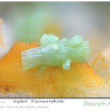 Pyromorphite
3.8 mm
(Autor: ploum)