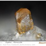 Monazite-(Ce)
fov 1.8 mm
(Autor: ploum)