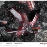 Proustite
fov 3.2 mm
(Autor: ploum)