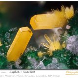 Kasolite
fov 1.50 mm
(Autor: ploum)