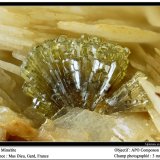 Mimetite
fov 3 mm
(Autor: ploum)