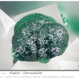Cornwallite
fov 1.65 mm
(Autor: ploum)