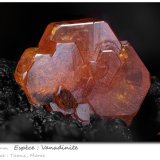 Vanadinite
fov 3.7 mm
(Autor: ploum)