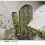 Epidote
fov 4.1 mm
(Autor: ploum)