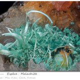 Malachite
fov 4.9 mm
(Autor: ploum)