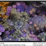 Strengite
fov 1.5 mm
(Autor: ploum)