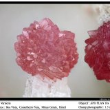 Variscite
fov 1.5 mm
(Autor: ploum)