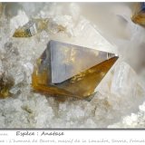 Anatase
fov 2.4 mm
(Autor: ploum)