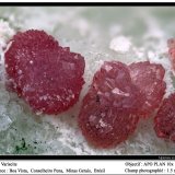 Variscite
fov 1.5 mm
(Autor: ploum)