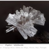 Willemite
fov 2.2 mm
(Autor: ploum)