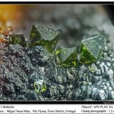 Libethenite
fov 1.5 mm
(Autor: ploum)