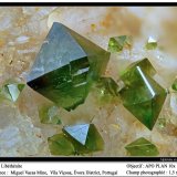 Libethenite
fov 1.5 mm
(Autor: ploum)