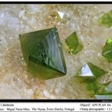 Libethenite
fov 1.5 mm
(Autor: ploum)