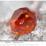 Spessartine
fov 2.4 mm
(Autor: ploum)