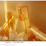 Vanadinite
fov 2.4 mm
(Autor: ploum)