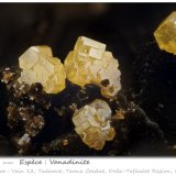 Vanadinite
fov 1.48 mm
(Autor: ploum)