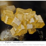 Vanadinite
fov 1.19 mm
(Autor: ploum)
