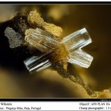 Willemite
fov 1.5 mm
(Autor: ploum)