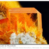 Wulfenite and Mimetite
fov 7 mm
(Autor: ploum)