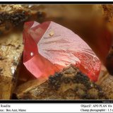 Roselite
fov 1.5 mm
(Autor: ploum)