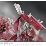 Erythrite
fov 12.5 mm
(Autor: ploum)