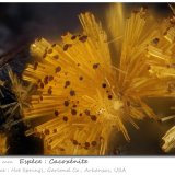 Cacoxenite
fov 0,51 mm
(Autor: ploum)