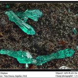 Dioptase
fov 1.5 mm
(Autor: ploum)