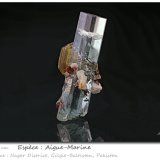 Beryl (variety aquamarine)
fov 7.70 cm
(Autor: ploum)