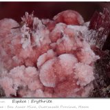 Erythrite
fov 3.7 mm
(Autor: ploum)