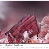 Erythrite
fov 4.4 mm
(Autor: ploum)